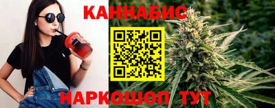 apvp Славгород