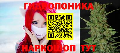 apvp Славгород