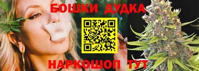 apvp Славгород