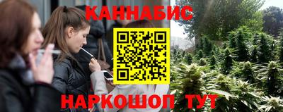 apvp Славгород