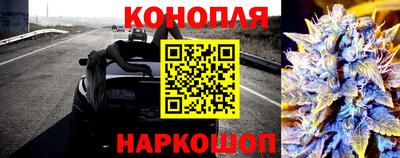 apvp Славгород
