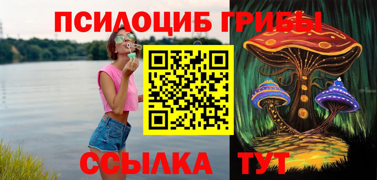 Псилоцибиновые грибы Cubensis Псков